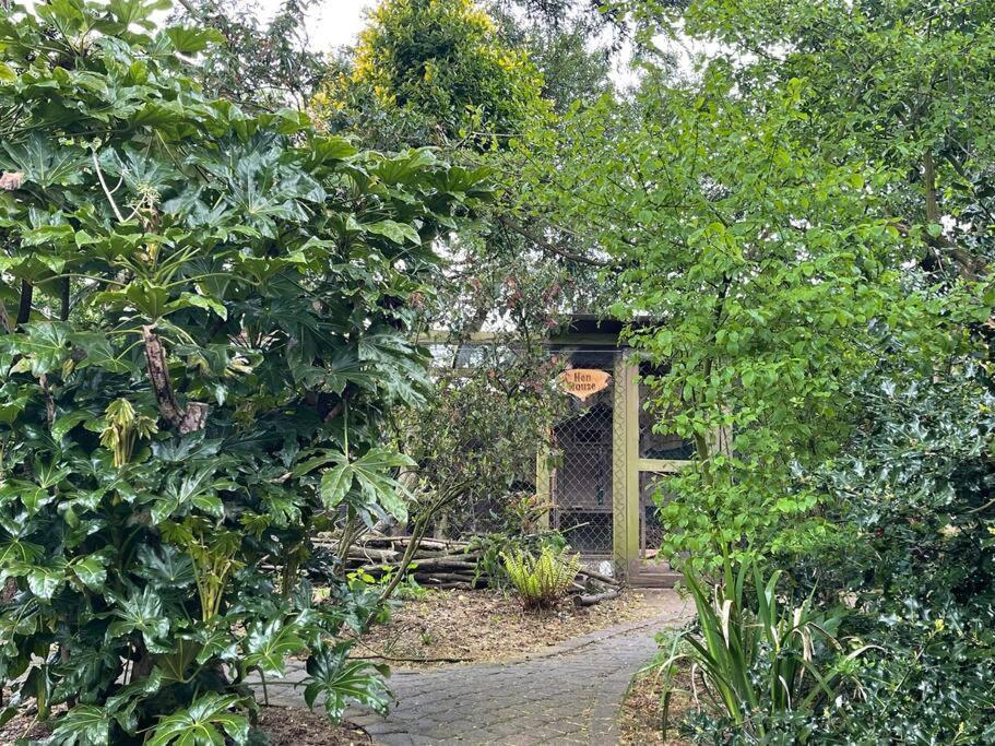 Holiday home Cosy Cabin, Hidden From The Main House - Sleeps 2 - Ev *