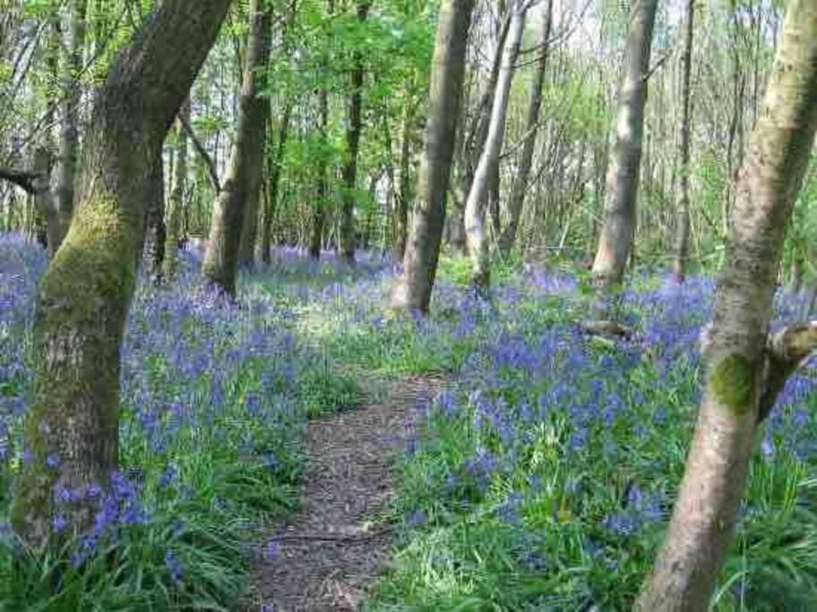 Cosy Cabin, Hidden From The Main House - Sleeps 2 - Ev Holiday home Hawkinge