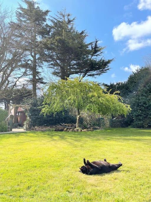 Cosy Cabin, Hidden From The Main House - Sleeps 2 - Ev Holiday home *